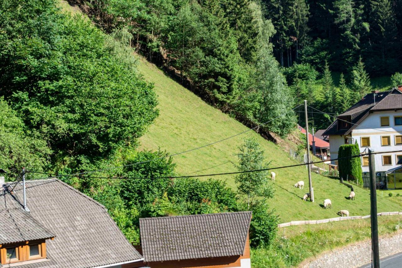 Apartamento Haus kremsbrücke Kremsbrucke Exterior foto